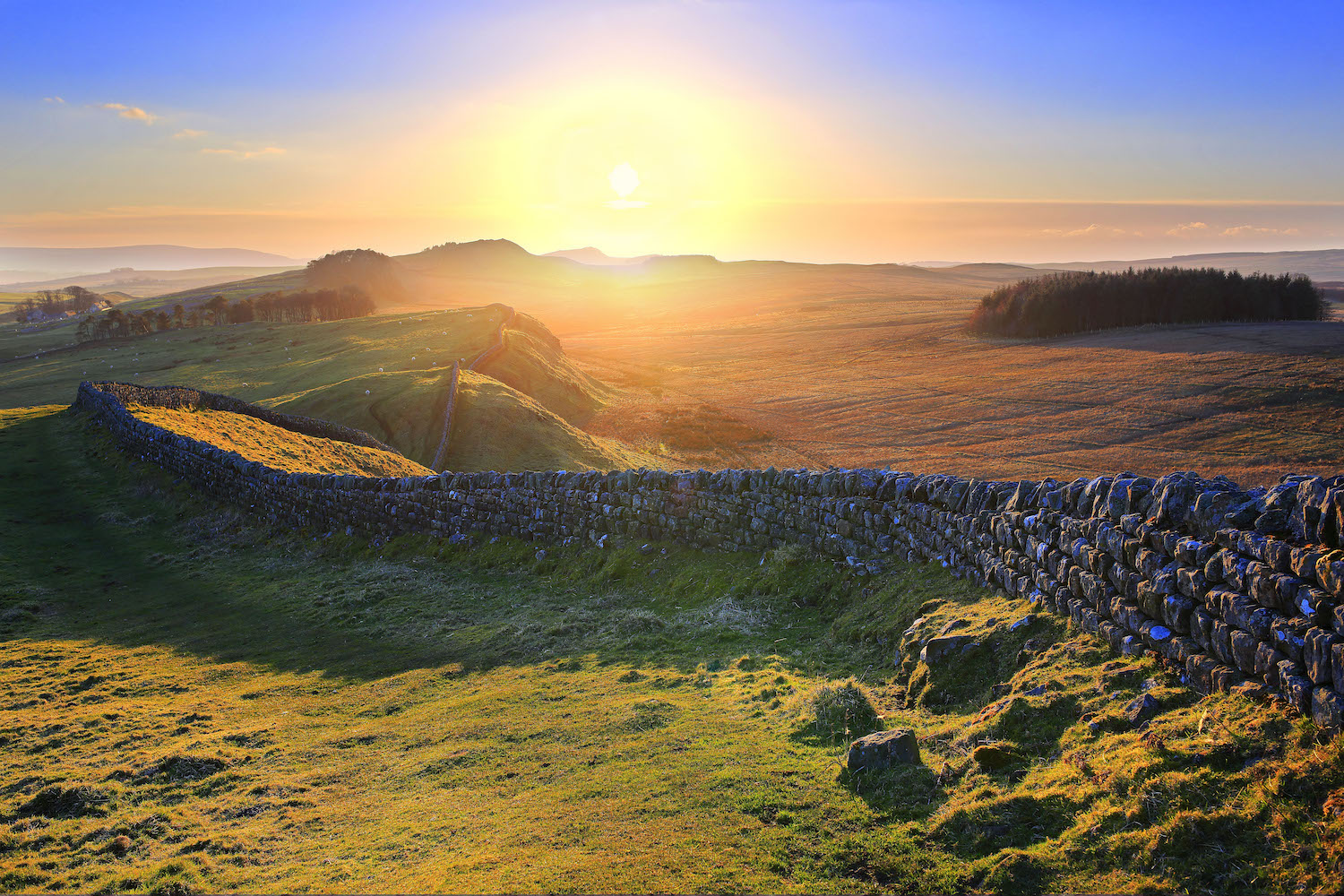 visit hadrian's wall from newcastle