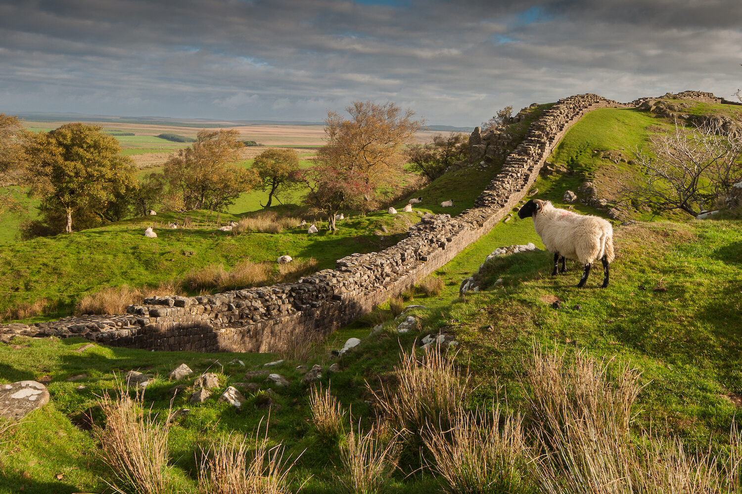 Hadrian's Wall