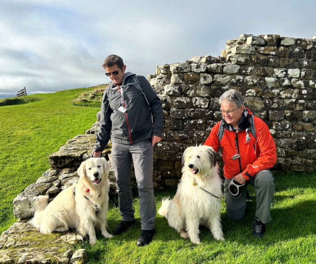 Hadrian's Wall Guide. visiting Hadrian's Wall with dogs. Two men hold their large dogs (a Golden Retriever and a Bearded Collie) on leads in front of a part of Hadrian's Wall.